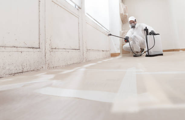 24/7 Emergency Basement Mold Removal experts in Commerce City, CO